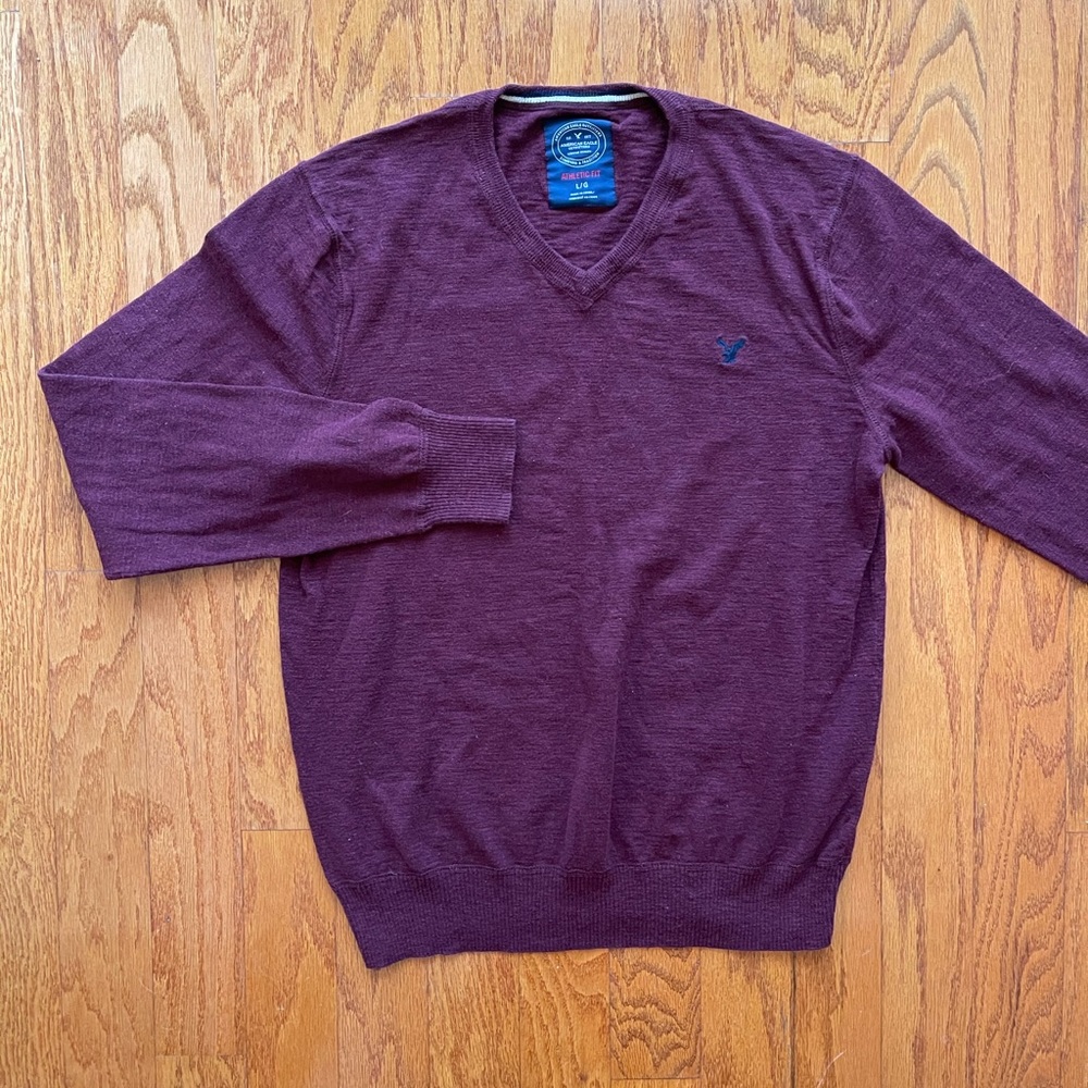 American Eagle Large mens athletic fit  sweater